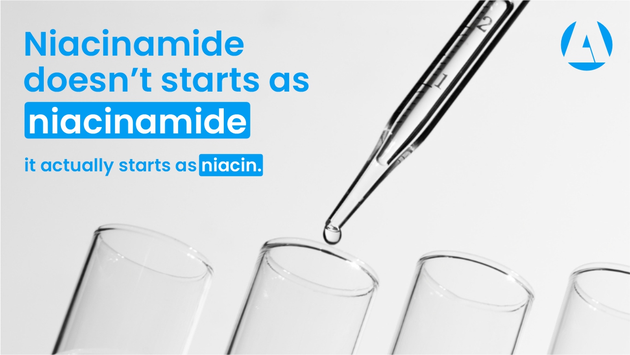 From Niacin to Niacinamide: What Really Happens Before It Reaches Your Serum